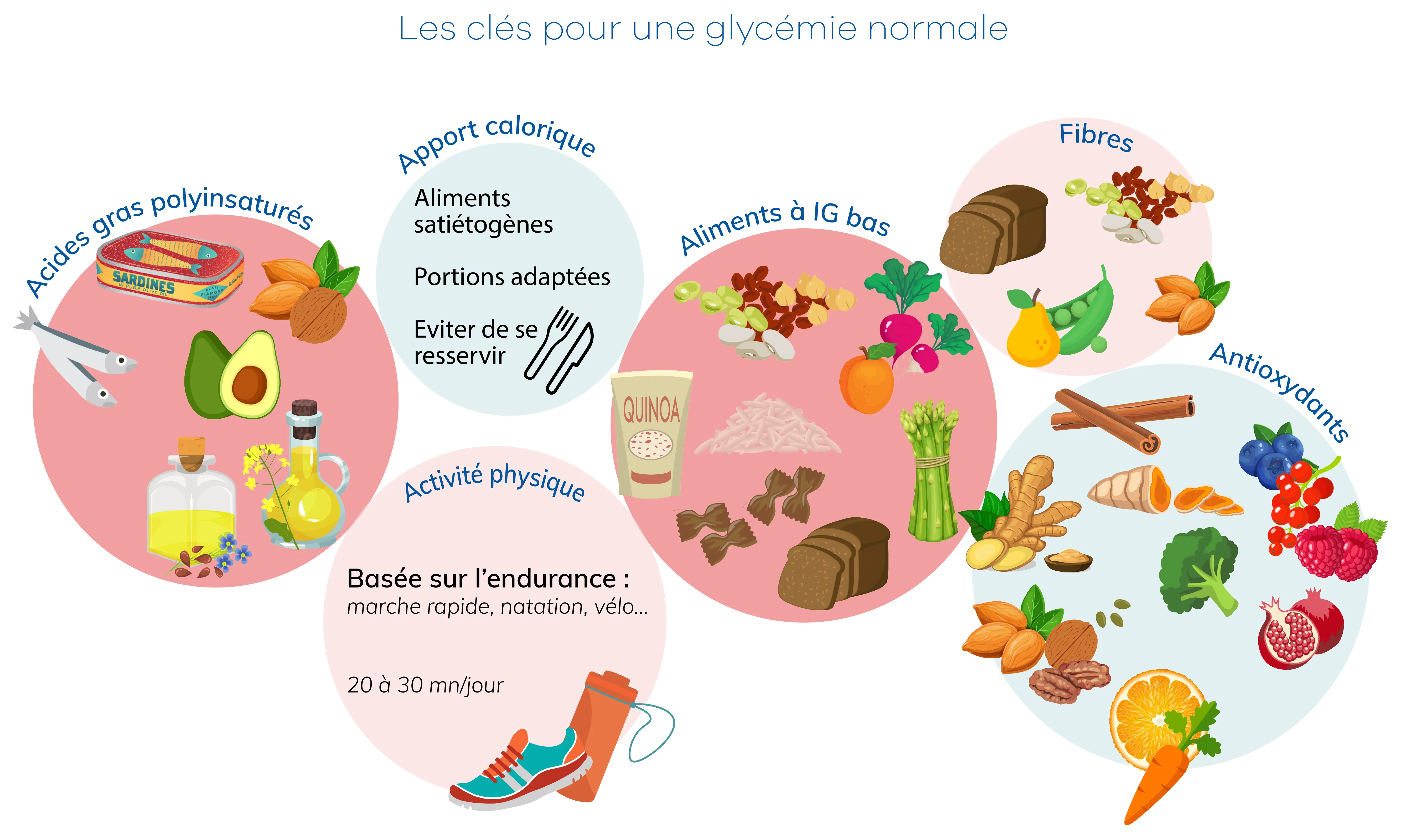 Les clés pour une glycémie normale